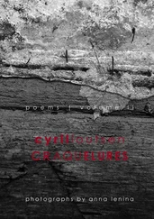 cyril ioutsen - craquelures. poems, volume II