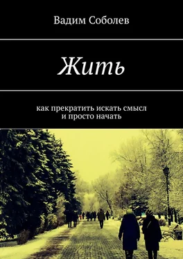 Вадим Соболев Жить. Как прекратить искать смысл и просто начать обложка книги