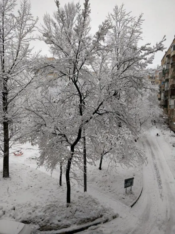В сибири настоящая зима С морозом крепким и хрустящим снегом Лежит в снегах - фото 2