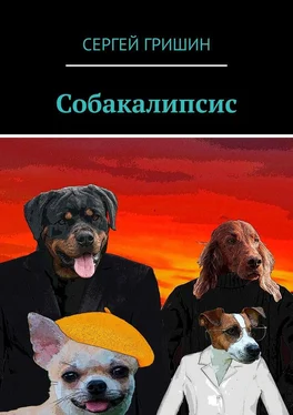 Сергей Гришин Собакалипсис обложка книги