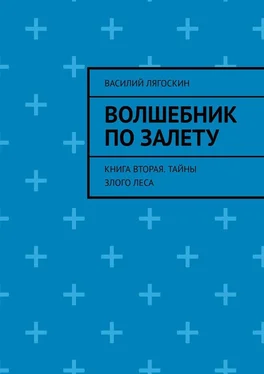 Василий Лягоскин Волшебник по залету. Книга вторая. Тайны Злого Леса обложка книги