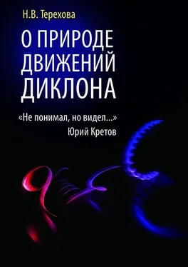 Нина Терехова О природе движений ДИКЛОНА. «Не понимал, но видел…» обложка книги