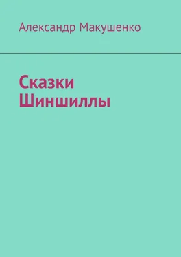 Александр Макушенко Сказки Шиншиллы обложка книги