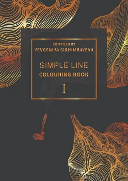 Yevgeniya Sikhimbayeva Simple line I обложка книги