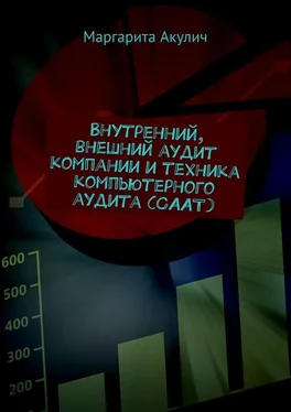 Маргарита Акулич Внутренний, внешний аудит компании и техника компьютерного аудита (CAAT) обложка книги