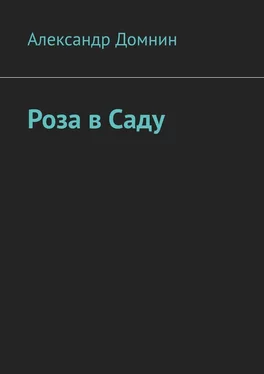 Александр Домнин Роза в саду обложка книги