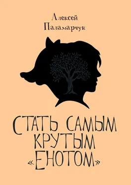 Алексей Паламарчук Стать самым крутым «Енотом» обложка книги