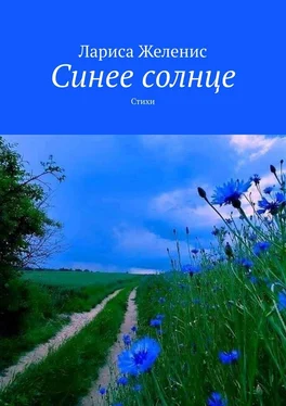 Лариса Желенис Синее солнце. Стихи обложка книги