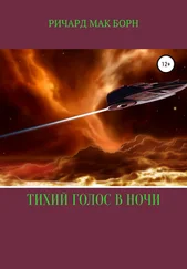 Мак Борн - Тихий голос в ночи