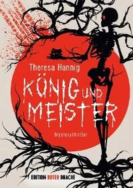 Theresa Hannig König und Meister обложка книги