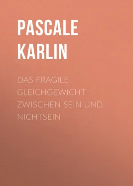 Pascale Karlin Das fragile Gleichgewicht zwischen Sein und Nichtsein обложка книги