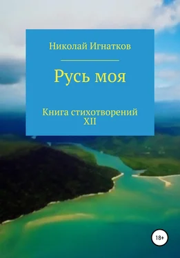 Николай Игнатков Русь моя. Книга стихотворений XII обложка книги