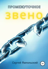 Сергей Ямпольский - Промежуточное звено