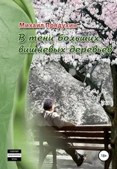 Михаил Прядухин - В тени больших вишневых деревьев