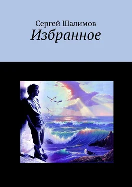 Сергей Шалимов Избранное обложка книги