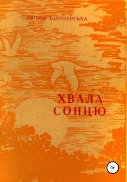 Любов Білозерська Хвала сонцю обложка книги