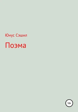 Юнус Сэшил Поэма обложка книги