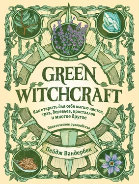 Пейдж Вандербек Green Witchcraft. Как открыть для себя магию цветов, трав, деревьев, кристаллов и многое другое обложка книги