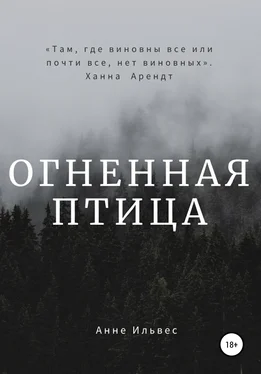 Анне Ильвес Огненная птица обложка книги