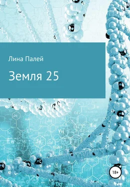 Лина Палей Земля 25 обложка книги