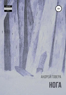 Андрей Говера Нога обложка книги