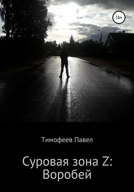 Павел Тимофеев Суровая зона Z: Воробей обложка книги