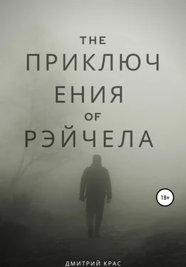 Дмитрий Крас Приключения Рэйчела обложка книги