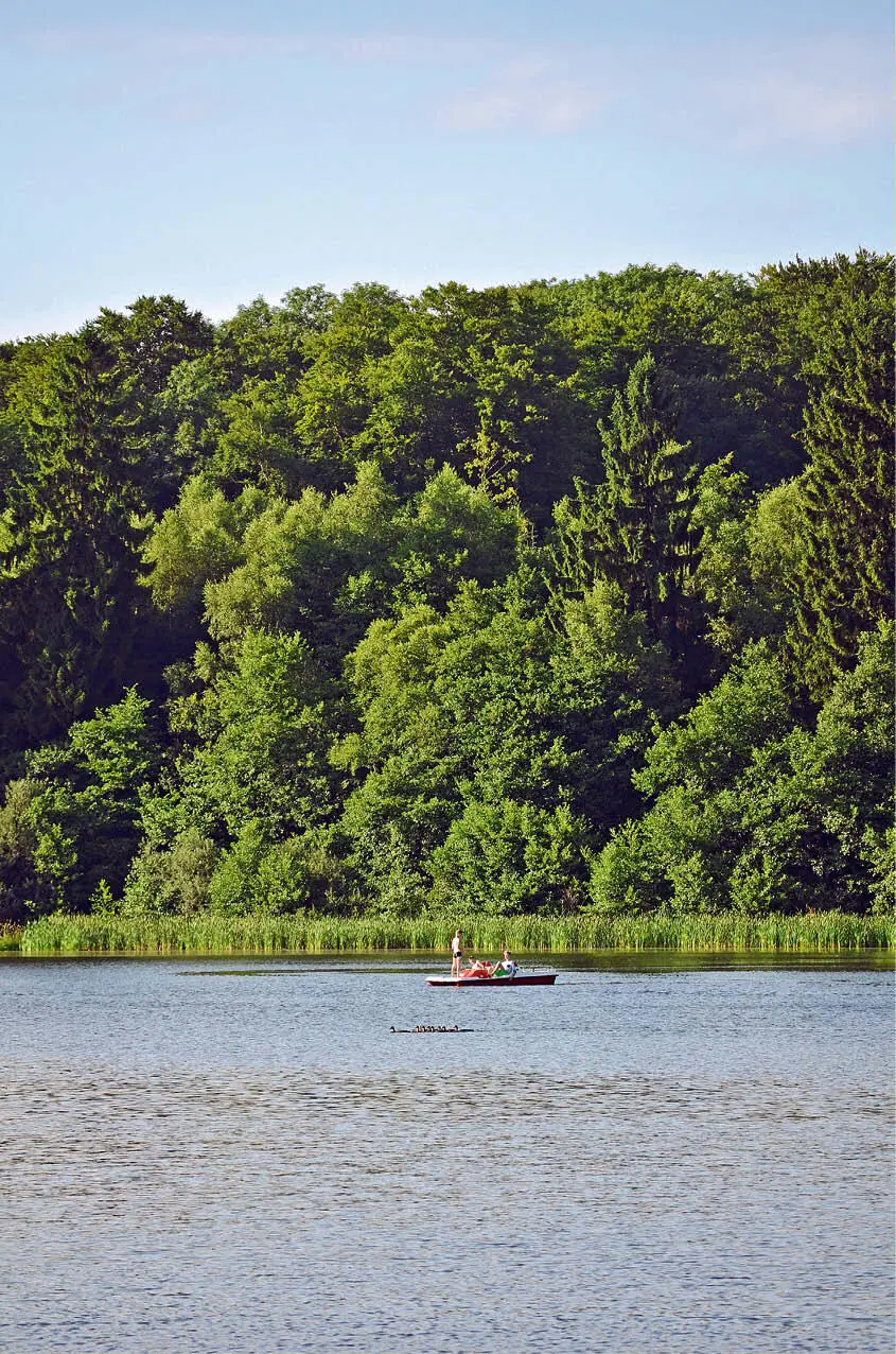 6 Freilinger Weiher Rechts der Bundesstraße 8 in Richtung Höchstenbach 56244 - фото 14