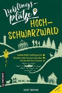 Birgit Hermann Lieblingsplätze Hochschwarzwald обложка книги