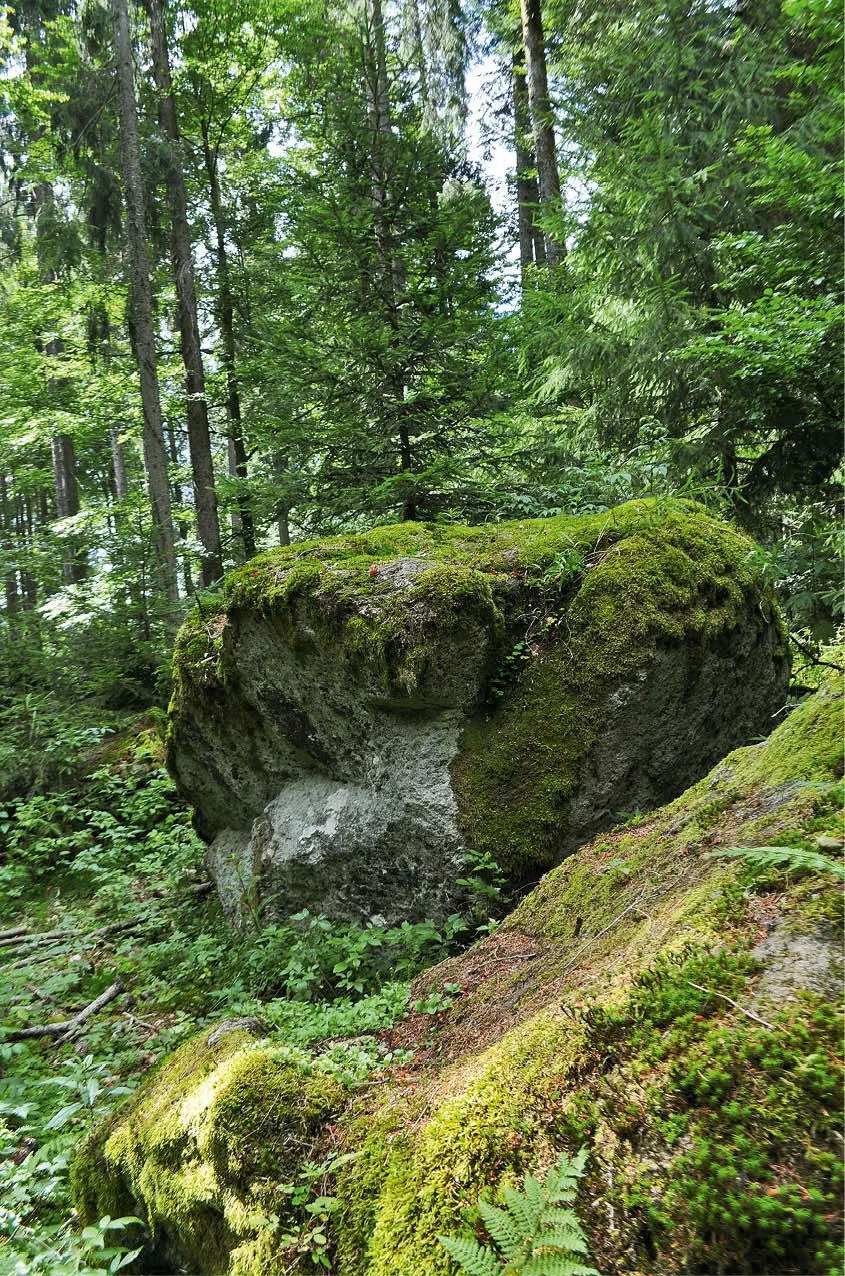 Lieblingsplätze Hochschwarzwald - изображение 21