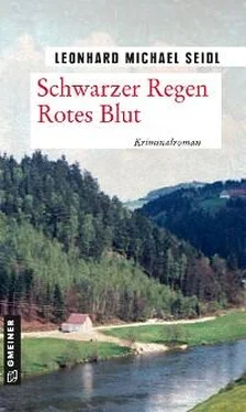 Leonhard Michael Seidl Schwarzer Regen Rotes Blut обложка книги