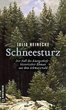 Julia Heinecke Schneesturz - Der Fall des Königenhofs обложка книги