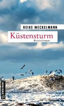 Heike Meckelmann Küstensturm обложка книги