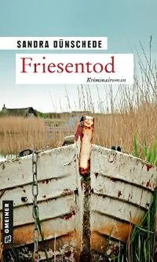 Sandra Dünschede Friesentod обложка книги