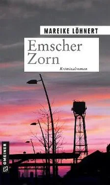 Mareike Löhnert Emscher Zorn обложка книги