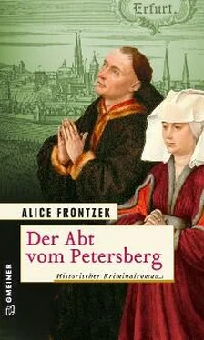 Alice Frontzek Der Abt vom Petersberg обложка книги