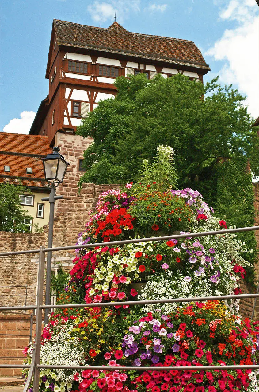 9 Altensteig Startpunkt der Historischen Meile Silbermühle Stadtbibliothek - фото 19