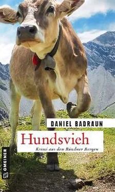 Daniel Badraun Hundsvieh обложка книги