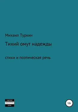 Михаил Туркин Тихий омут надежды обложка книги