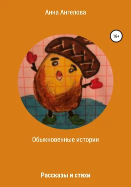 Анна Ангелова Обыкновенные истории обложка книги