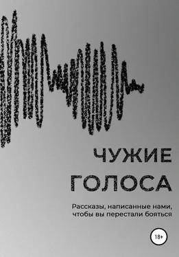 Мария Булатова Чужие голоса обложка книги