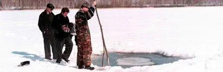 Так спешно и успешно Создавалось впечатление что общественность надо было - фото 11