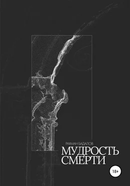 Рахман Бадалов Мудрость смерти обложка книги