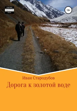 Иван Стародубов Дорога к золотой воде обложка книги