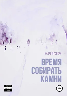 Андрей Говера Время собирать камни обложка книги