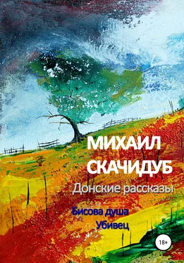 Михаил Скачидуб Донские рассказы обложка книги