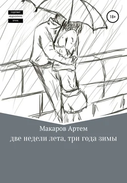 Артем Макаров Две недели лета, три года зимы обложка книги