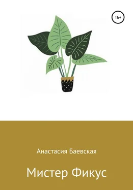 Анастасия Баевская Мистер Фикус обложка книги