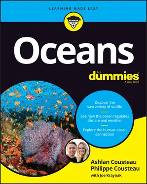 Joseph Kraynak Oceans For Dummies обложка книги