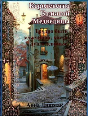 Анна Дишмак Королевство Большой Медведицы. Трудно быть мужчиной, когда душа девичья! (СИ) обложка книги